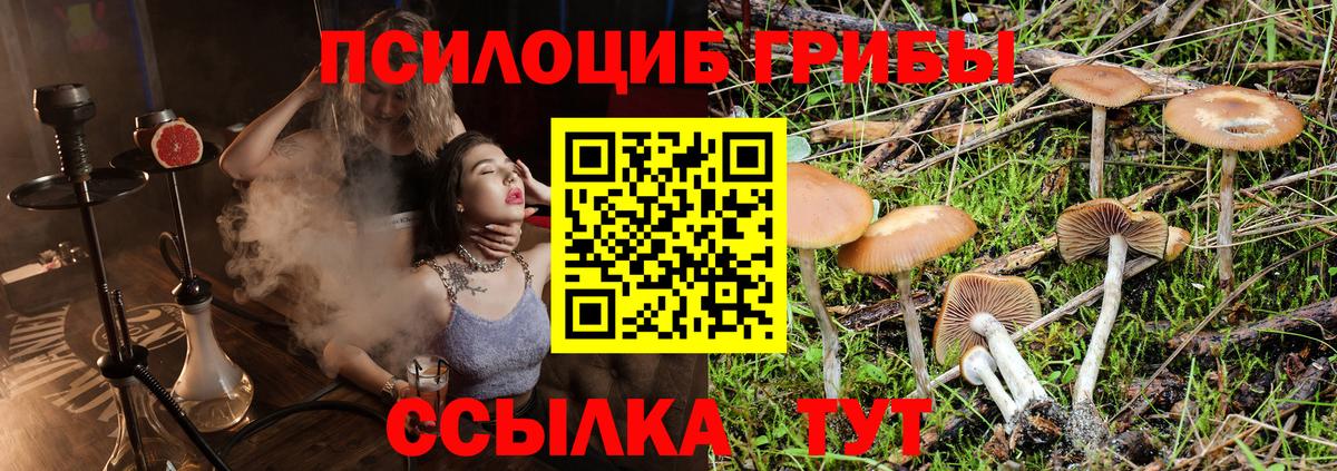 Псилоцибиновые грибы мухоморы  Вход с VPN  Петропавловск-Камчатский 