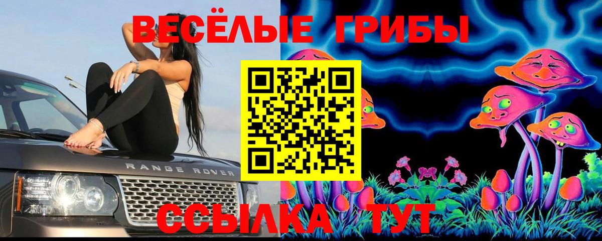 Псилоцибиновые грибы ЛСД Петропавловск-Камчатский